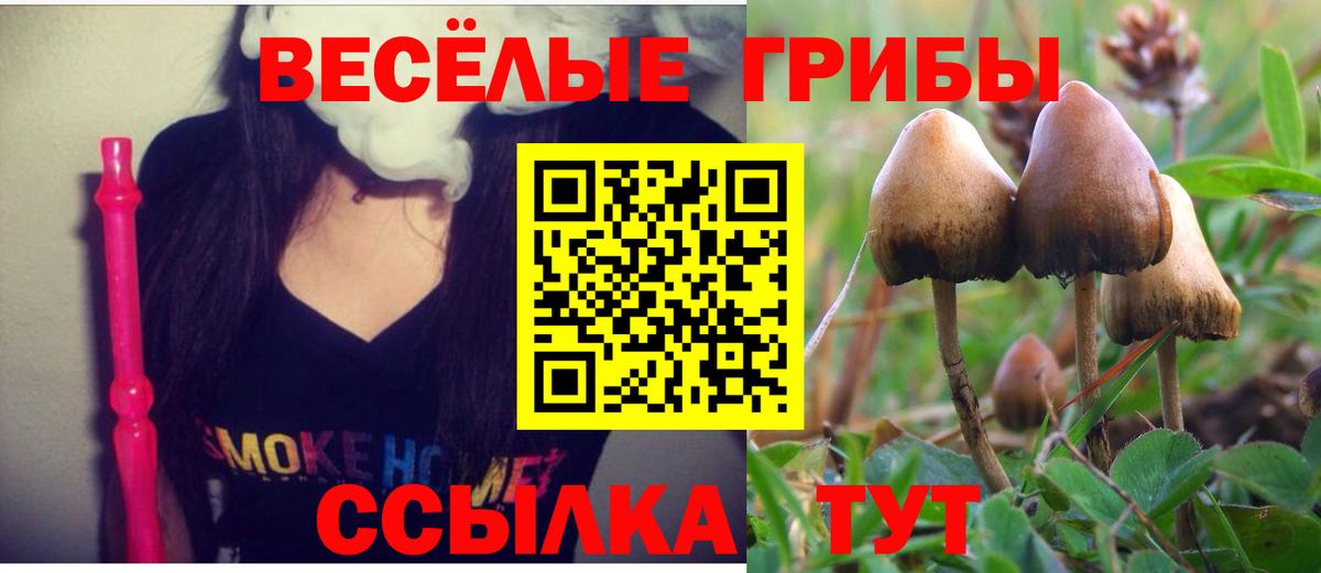 Галлюциногенные грибы мицелий  Вход с VPN  Галлюциногенные грибы Psilocybine cubensis  Кропоткин 